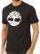 T-SHIRT TIMBERLAND K-R BRAND TREE TB0A2CGA  (M)