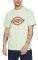 T-SHIRT DICKIES HORSESHOE DK60075X MINT ΠΡΑΣΙΝΟ (M) T-SHIRT DICKIES HORSESHOE DK60075X MINT ΠΡΑΣΙΝΟ (M)