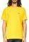 T-SHIRT DICKIES STOCKDALE DK621578  (X...