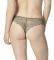 ������� TRIUMPH TEMPTING LACE BRAZILIAN STRING ���� (L)