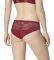  TRIUMPH DARLING SPOTLIGHT BRAZILIAN   (36)
