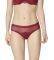  TRIUMPH DARLING SPOTLIGHT BRAZILIAN ...