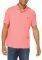T-SHIRT POLO NAUTICA K01000  