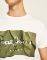 T-SHIRT PEPE JEANS RAURY PM506480-672 / (XXL)