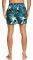  BOXER QUIKSILVER POOLSIDER VOLLEY 15 EQYJV03539  (S)