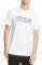 T-SHIRT QUIKSILVER STONE COLD CLASSIC EQYZT05...