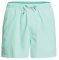 BOXER QUIKSILVER EVERYDAY VOLLEY 15 EQYJV03531  (S)