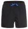  BOXER QUIKSILVER EVERYDAY VOLLEY 15 EQYJV03531  (S)