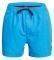  BOXER QUIKSILVER EVERYDAY VOLLEY 15 EQYJV03531  (L)