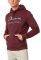 HOODIE JACK & JONES JJAPPLICATION 12175548 ...
