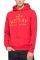 HOODIE REPLAY M3241 .000.23040P 558  (...