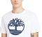 T-SHIRT TIMBERLAND K-R TREE LOGO TB0A2C2R  (M)