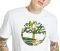 T-SHIRT TIMBERLAND K-R TREE LOGO TB0A2FAQ  (M)