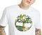 T-SHIRT TIMBERLAND K-R TREE LOGO TB0A2FAQ  (L)