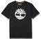 T-SHIRT TIMBERLAND K-R BRAND TREE TB0A2C2R  (M)