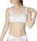  TRIUMPH DELICATE DESIGN N  (100C...