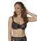  TRIUMPH VELVET ROSE SPOTLIGHT WHP ...