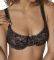  TRIUMPH VELVET ROSE SPOTLIGHT WHU  (80C)