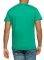 T-SHIRT PEPE JEANS EGGO PM500465  (S)