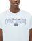 T-SHIRT PEPE JEANS DENNIS PM507740  (XXL)