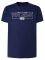 T-SHIRT PEPE JEANS DENNIS PM507740 ������ ���� (XXL)