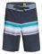   QUIKSILVER SURFSILK SUN FADED 19 EQYBS04556  (36)