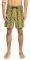 ����� BOXER QUIKSILVER HIGH POINT PRT MOTION SHORT 17 EQYWS03743 ������� (XL)