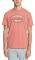 T-SHIRT QUIKSILVER CUT TO NOW EQYZT06377 ΡΟΖ (XL) T-SHIRT QUIKSILVER CUT TO NOW EQYZT06377 ΡΟΖ (XL)