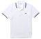 T-SHIRT POLO LACOSTE   PH2384 522  (M)