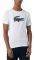 T-SHIRT LACOSTE 3D PRINT CROCODILE TH2042 522 /  (M)