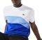 T-SHIRT LACOSTE SPORT COLOURBLOCK TH9656 4FU ΛΕΥΚΟ/ΜΠΛΕ (XL) T-SHIRT LACOSTE SPORT COLOURBLOCK TH9656 4FU ΛΕΥΚΟ/ΜΠΛΕ (XL)