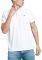 T-SHIRT POLO FUNKY BUDDHA FBM003-001-11 ...