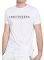 T-SHIRT FUNKY BUDDHA FBM003-008-04 
