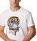 T-SHIRT PEPE JEANS SULLIVAN PM507865  (L)