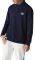   LACOSTE TH7984 166 ...