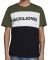 T-SHIRT JACK & JONES JJELOGO BLOCKING 12173968 / (S)