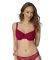  TRIUMPH VELVET ROSE SPOTLIGHT WHP ...