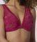  TRIUMPH VELVET ROSE SPOTLIGHT WP  (90C)