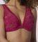  TRIUMPH VELVET ROSE SPOTLIGHT WP  (80D)