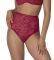  TRIUMPH VELVET ROSE SPOTLIGHT HIGH R ...