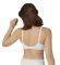  TRIUMPH MODERN LACE+COTTON W  (95D)
