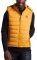   FUNKY BUDDHA FBM004-001-01 ...