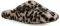  PAREX 10124012.PI ANIMAL PRINT  (38/39)