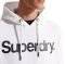 HOODIE SUPERDRY CORE LOGO M2011884A  (M)