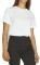 T-SHIRT JJXX JXANNA 12200182  (S)