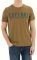 T-SHIRT CAMEL ACTIVE PRINT C21-409745-7T27-36  (XXXL)