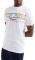 T-SHIRT ELLESSE ACHTINI SHM13827 ����� (M)