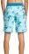   QUIKSILVER SURFSILK SCALLOP 19 EQYBS04654  (34)