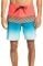   QUIKSILVER SURFSILK PANEL 18 E...