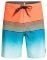   QUIKSILVER SURFSILK PANEL 18 EQYBS04658  (30)